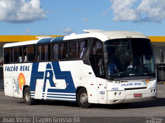 Falcão Real 1025 na cidade de Capim Grosso, Bahia, Brasil, por João Victor. Número da foto: #4014342.