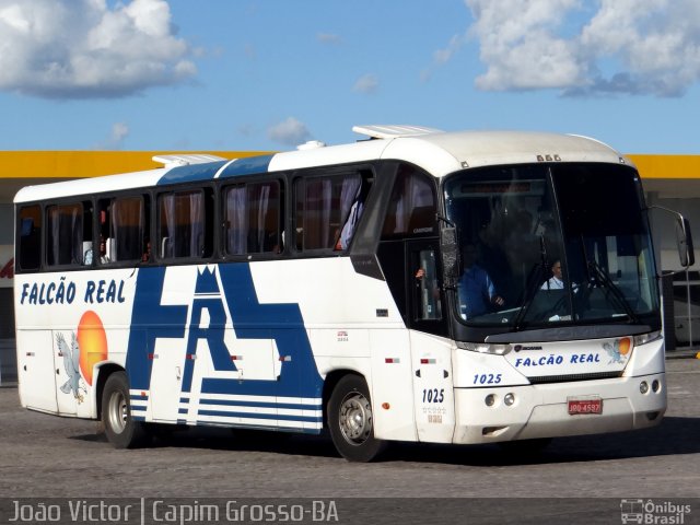 Falcão Real 1025 na cidade de Capim Grosso, Bahia, Brasil, por João Victor. ID da foto: 4014342.