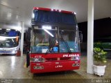 Pluma Conforto e Turismo 4938 na cidade de Guaratinguetá, São Paulo, Brasil, por Erwin  Luiz. Número da foto: #4014862.