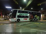 Eucatur - Empresa União Cascavel de Transportes e Turismo 4450 na cidade de São Paulo, São Paulo, Brasil, por Ildeu Ribeiro. Número da foto: #4018127.