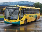 Viação Garcia 7725 na cidade de Rolândia, Paraná, Brasil, por Pedroka Ternoski. Número da foto: #4017862.