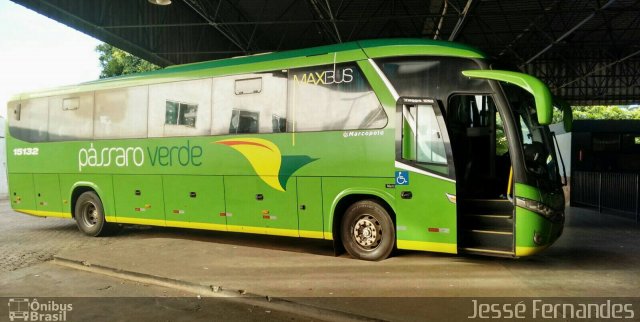 Pássaro Verde 15132 na cidade de Ponte Nova, Minas Gerais, Brasil, por Jessé Fernandes. Número da foto: #4019437.
