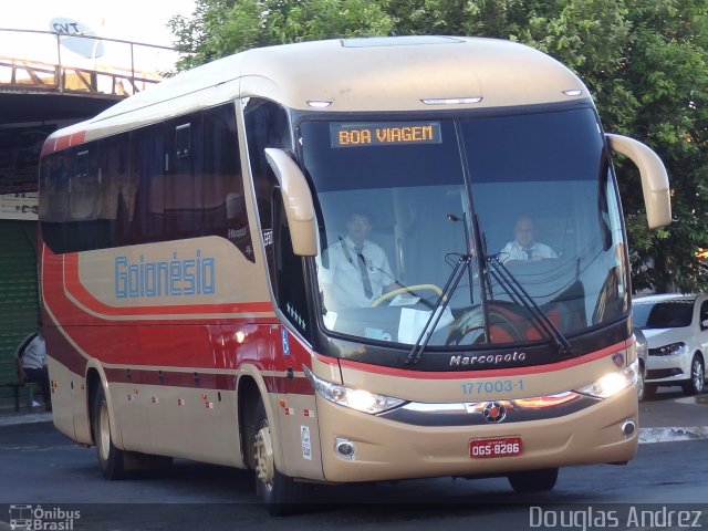Auto Viação Goianésia 177003-1 na cidade de Trindade, Goiás, Brasil, por Douglas Andrez. Número da foto: #4024523.