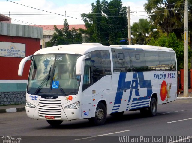 Falcão Real 1413 na cidade de Feira de Santana, Bahia, Brasil, por Willian Pontual. ID da foto: 4025280.