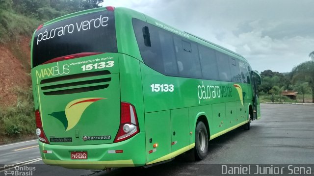 Pássaro Verde 15133 na cidade de Itabirito, Minas Gerais, Brasil, por Daniel Junior Sena. Número da foto: #4025209.