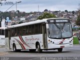 Paraibuna Transportes 15006 na cidade de Juiz de Fora, Minas Gerais, Brasil, por Luiz Krolman. Número da foto: #4027916.