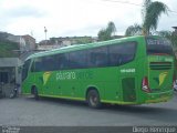 Pássaro Verde 15128 na cidade de Belo Horizonte, Minas Gerais, Brasil, por Diego Henrique. Número da foto: #:id.
