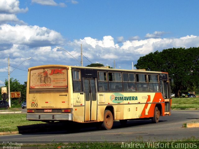 Primavera 1750 na cidade de Pirapora, Minas Gerais, Brasil, por Andrew Campos. Número da foto: #3970763.