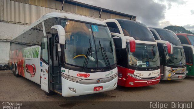 Eucatur - Empresa União Cascavel de Transportes e Turismo 4924 na cidade de Porto Alegre, Rio Grande do Sul, Brasil, por Felipe  Brignol. Número da foto: #3972646.
