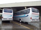 Ribe Transporte 6030 na cidade de Ribeirão Preto, São Paulo, Brasil, por Erwin  Luiz. Número da foto: #3974035.