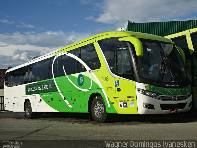 Expresso Princesa dos Campos 6603 na cidade de Curitiba, Paraná, Brasil, por Wagner Domingos Ivanesken. ID da foto: 3976075.