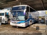 La Santaniana 21018 na cidade de Campo Largo, Paraná, Brasil, por André Luiz Rodrigues de Souza. Número da foto: #3980584.