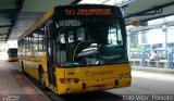 Transporte Coletivo Estrela 1016 na cidade de Florianópolis, Santa Catarina, Brasil, por João Vitor  Peixoto. Número da foto: #3979105.