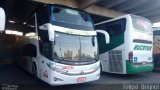 Eucatur - Empresa União Cascavel de Transportes e Turismo 4810 na cidade de São José, Santa Catarina, Brasil, por Felipe  Brignol. Número da foto: #3980198.