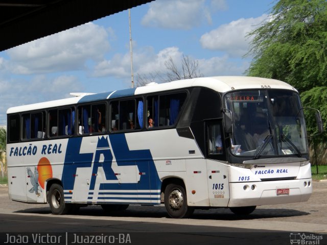 Falcão Real 1015 na cidade de Juazeiro, Bahia, Brasil, por João Victor. Número da foto: #4051501.