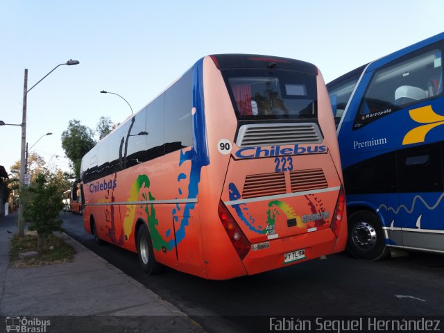 Chilebus Internacional 223 na cidade de , por Fabian Seguel. ID da foto: 4051533.