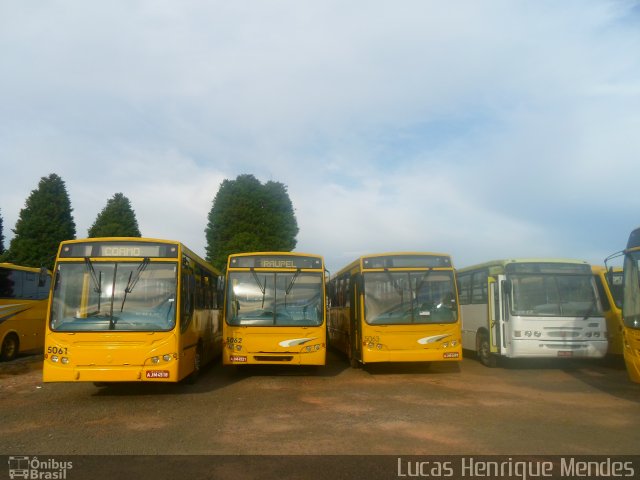 Transportes Coletivos Pérola do Oeste 5061 na cidade de Guarapuava, Paraná, Brasil, por Lucas Henrique Mendes. Número da foto: #4051075.