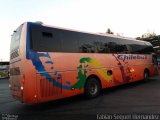 Chilebus Internacional 223 na cidade de , por Fabian Seguel. Número da foto: #4051551.