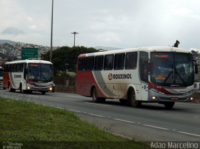 Rouxinol 375 na cidade de Belo Horizonte, Minas Gerais, Brasil, por Adão Raimundo Marcelino. Número da foto: #4053626.
