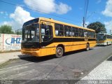 Transportes Coletivos Nossa Senhora da Piedade EP2263 na cidade de Campo Largo, Paraná, Brasil, por Diego Bianco. Número da foto: #:id.