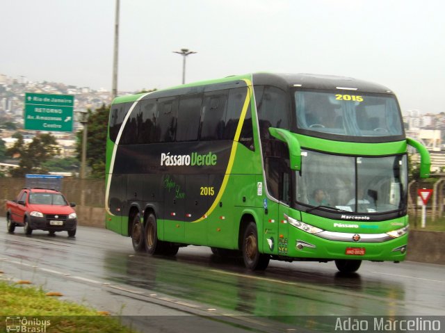 Pássaro Verde 2015 na cidade de Belo Horizonte, Minas Gerais, Brasil, por Adão Raimundo Marcelino. Número da foto: #4055501.