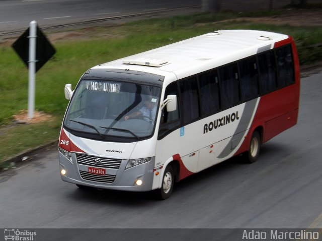 Rouxinol 265 na cidade de Belo Horizonte, Minas Gerais, Brasil, por Adão Raimundo Marcelino. ID da foto: 4055468.