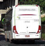 Transbrasiliana Transportes e Turismo 651563 na cidade de Teresina, Piauí, Brasil, por Fábio Araújo Pinto. ID da foto: :id.