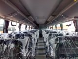 Viação Platina 6500 na cidade de Uberaba, Minas Gerais, Brasil, por Eduardo Castro. Número da foto: #:id.