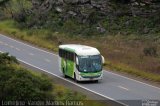 Pássaro Verde 11097 na cidade de Diamantina, Minas Gerais, Brasil, por Lomelino  Vander Martins Ramos. Número da foto: #:id.