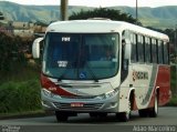 Rouxinol 425 na cidade de Belo Horizonte, Minas Gerais, Brasil, por Adão Raimundo Marcelino. Número da foto: #4066526.