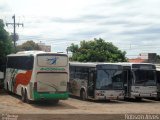 Empresa de Transportes Andorinha 5152 na cidade de Paranavaí, Paraná, Brasil, por Robson Alves. Número da foto: #4034604.