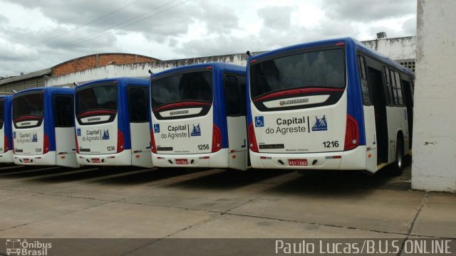 Capital do Agreste Transporte Urbano 1216 na cidade de Caruaru, Pernambuco, Brasil, por Paulo Lucas. Número da foto: #4074226.