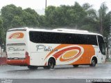 Viação Platina 8000 na cidade de Uberaba, Minas Gerais, Brasil, por Fernando Reis. Número da foto: #:id.