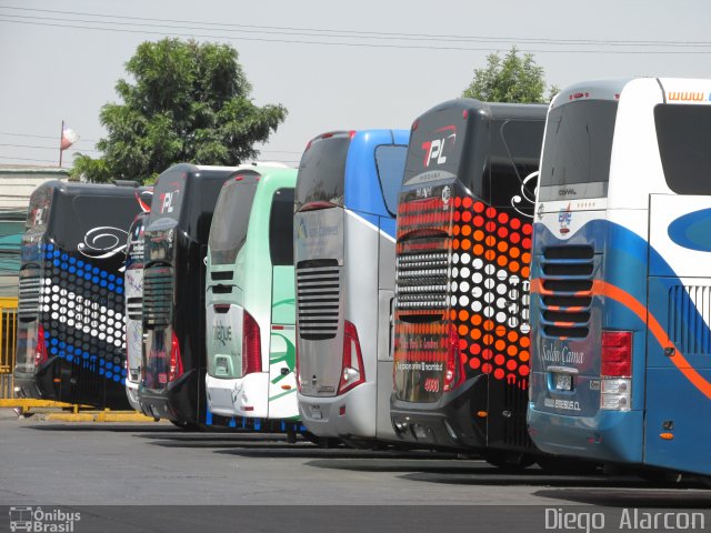 Pullman Eme Bus  na cidade de , por Diego Alarcon. Número da foto: #4076342.