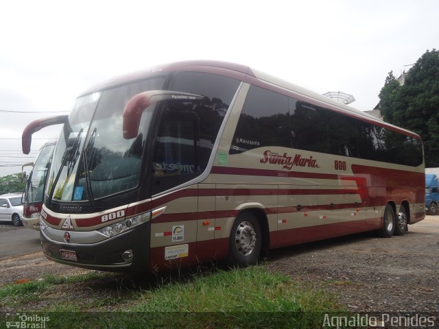 Santa Maria Fretamento e Turismo > Transportes Santa Maria(SP) 800 na cidade de São Paulo, São Paulo, Brasil, por Agnaldo Penides. Número da foto: #4080881.