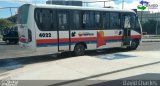 Transporte Tropical 4022 na cidade de Aracaju, Sergipe, Brasil, por David  Souza. Número da foto: #:id.