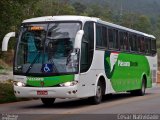 Pássaro Verde 26006 na cidade de Mariana, Minas Gerais, Brasil, por César Natividade. Número da foto: #:id.