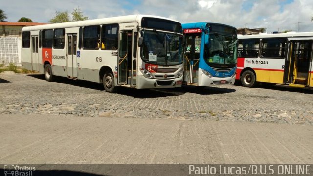 Borborema Imperial Transportes 016 na cidade de Olinda, Pernambuco, Brasil, por Paulo Lucas. ID da foto: 4081484.