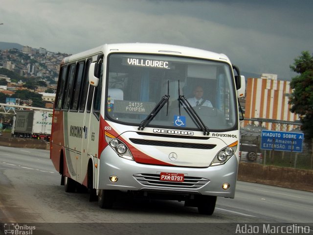 Rouxinol 655 na cidade de Belo Horizonte, Minas Gerais, Brasil, por Adão Raimundo Marcelino. Número da foto: #4085205.
