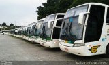 Empresa Gontijo de Transportes 12890 na cidade de Duque de Caxias, Rio de Janeiro, Brasil, por Wallace Gonçalves . Número da foto: #4084251.
