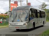 Auto Viação São José dos Pinhais EL308 na cidade de Curitiba, Paraná, Brasil, por Reginaldo Levinski da Silva. Número da foto: #4083471.
