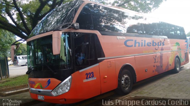 Chilebus Internacional 223 na cidade de São Paulo, São Paulo, Brasil, por Luis Philippe Cardoso Coelho. Número da foto: #4089821.