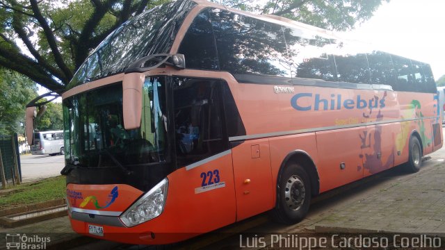 Chilebus Internacional 223 na cidade de São Paulo, São Paulo, Brasil, por Luis Philippe Cardoso Coelho. ID da foto: 4089821.