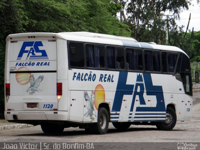 Falcão Real 1120 na cidade de Senhor do Bonfim, Bahia, Brasil, por João Victor. ID da foto: 4090847.