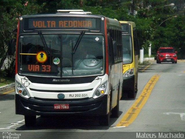 Viação Sul Fluminense RJ 202.031 na cidade de Volta Redonda, Rio de Janeiro, Brasil, por Mateus Machado. Número da foto: #4092376.