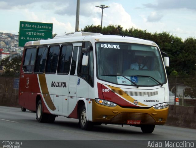 Rouxinol 580 na cidade de Belo Horizonte, Minas Gerais, Brasil, por Adão Raimundo Marcelino. ID da foto: 4095839.