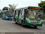 Independência > Trans Oeste Transportes 30525 na cidade de Belo Horizonte, Minas Gerais, Brasil, por Adão Raimundo Marcelino. Número da foto: #4038821.