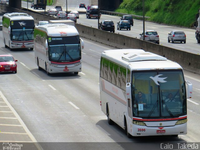 Pássaro Prata Transportadora Turística 600 na cidade de Barueri, São Paulo, Brasil, por Caio  Takeda. Número da foto: #4041893.