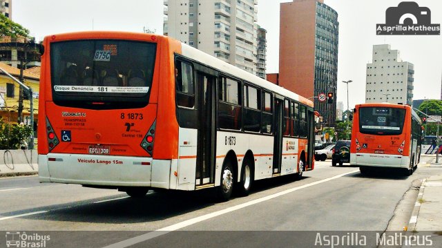 TRANSPPASS - Transporte de Passageiros 8 1873 na cidade de São Paulo, São Paulo, Brasil, por Asprilla Matheus. ID da foto: 4041365.