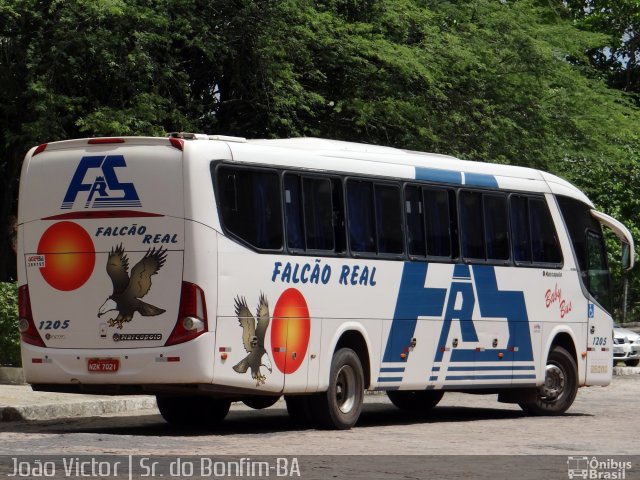 Falcão Real 1205 na cidade de Senhor do Bonfim, Bahia, Brasil, por João Victor. Número da foto: #4044997.